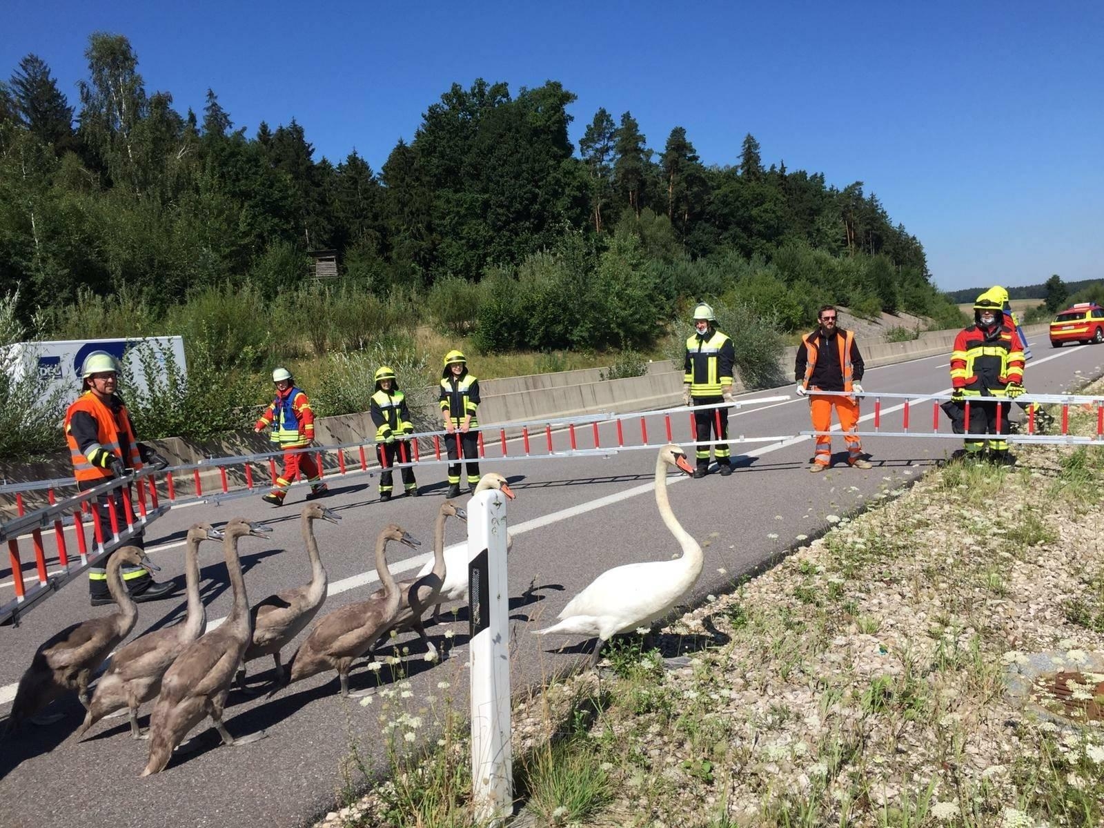 Technische Hilfeleistung Technische Hilfeleistung