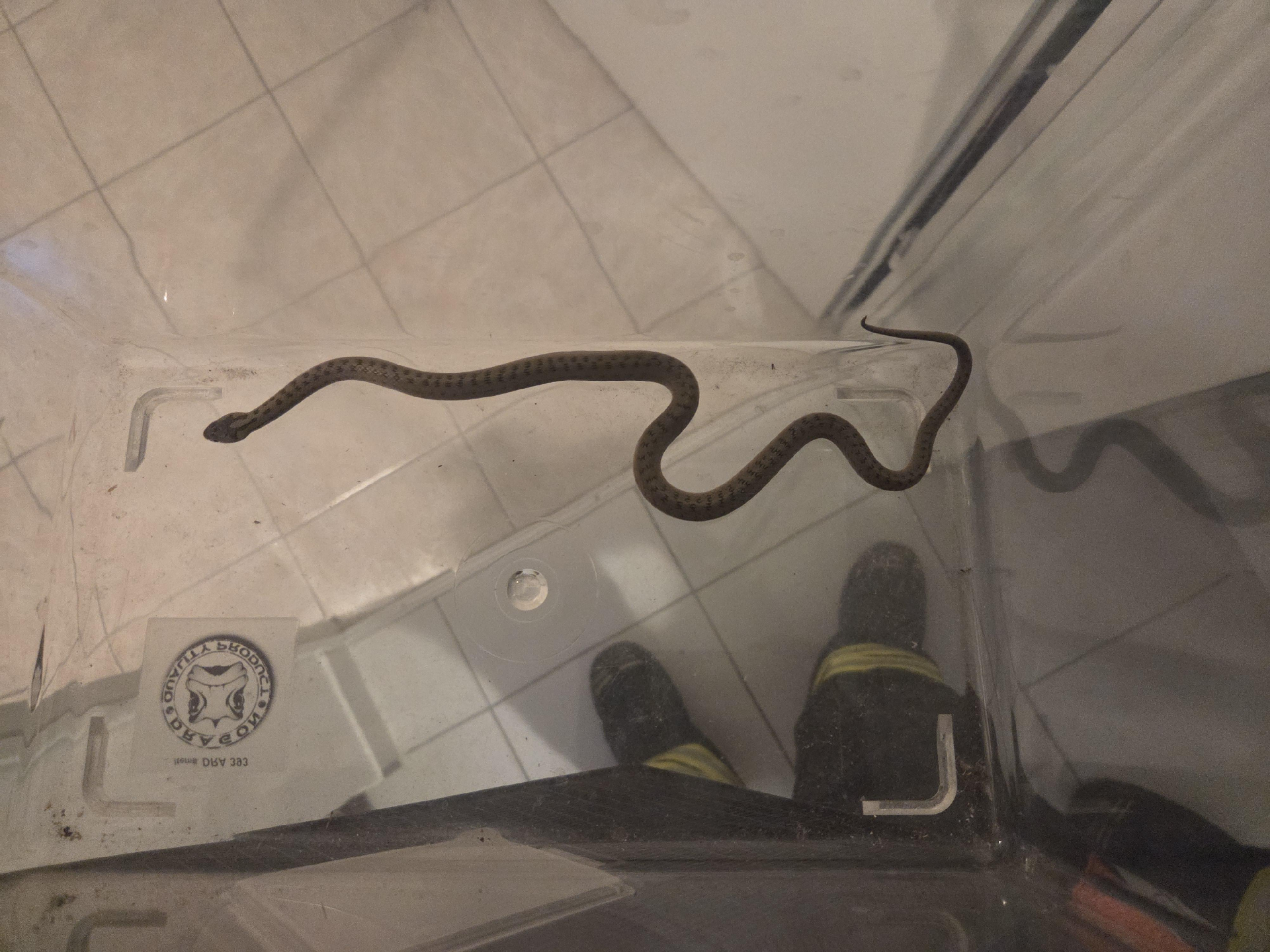 Einsatzfoto Kleintierrettung