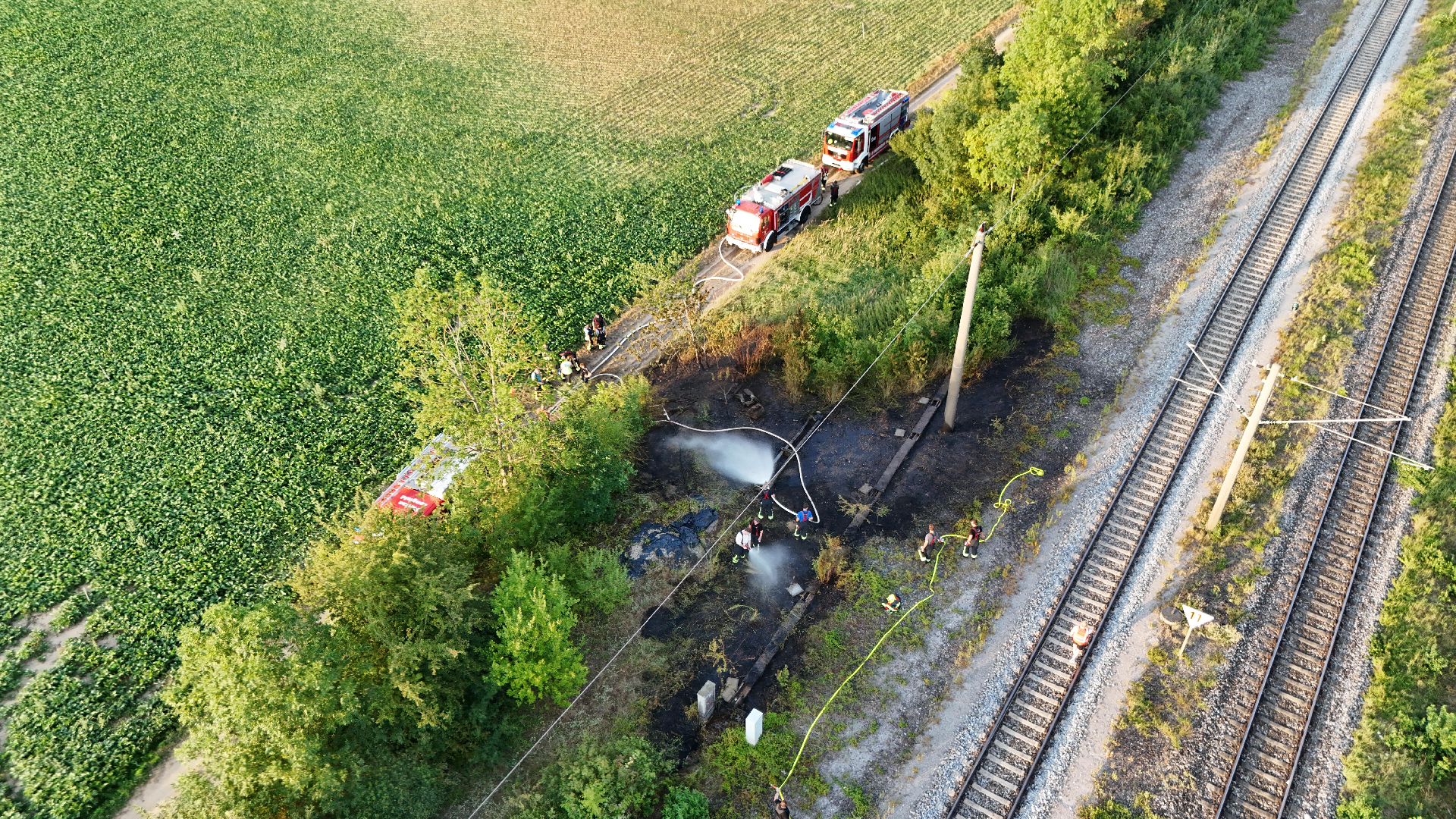 Einsatzfoto Brand Freifläche